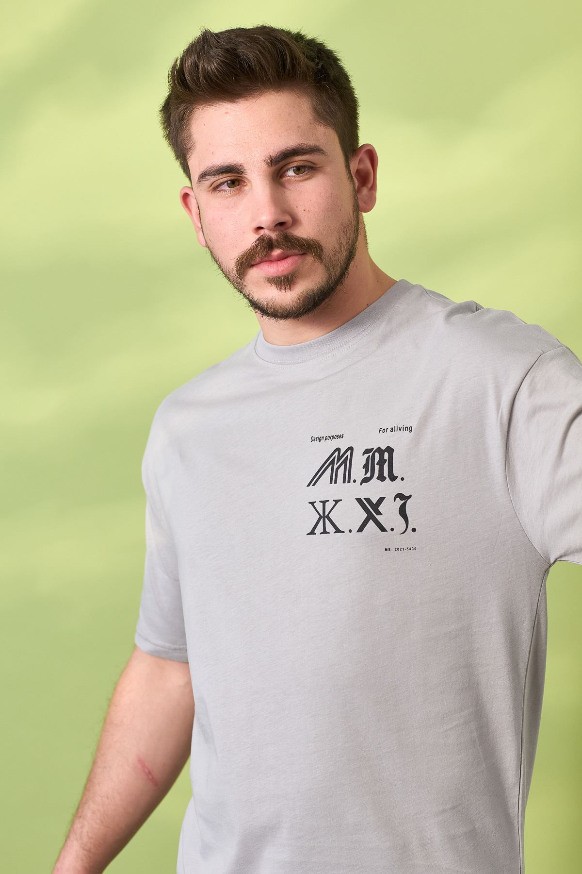 Regular Kesim Baskı Desen Sıfır Yaka Penye Tshirt-GRİ